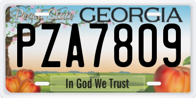 GA license plate PZA7809