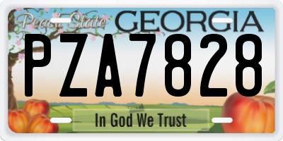 GA license plate PZA7828