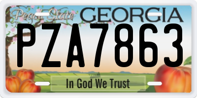 GA license plate PZA7863