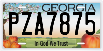GA license plate PZA7875