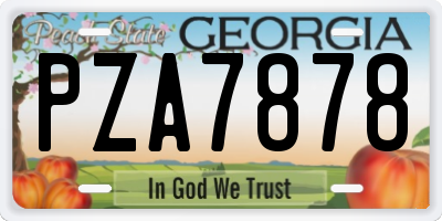 GA license plate PZA7878