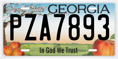 GA license plate PZA7893