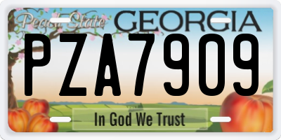 GA license plate PZA7909