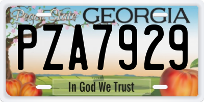 GA license plate PZA7929