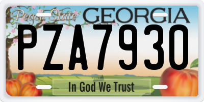 GA license plate PZA7930