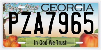 GA license plate PZA7965