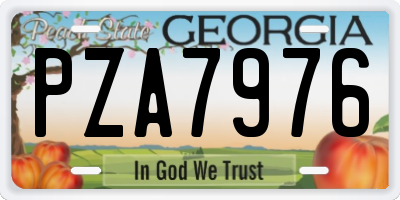 GA license plate PZA7976