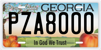 GA license plate PZA8000