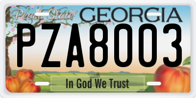 GA license plate PZA8003