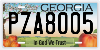 GA license plate PZA8005