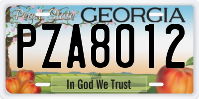 GA license plate PZA8012