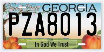 GA license plate PZA8013