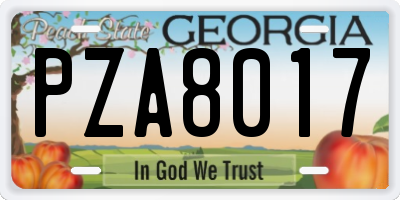 GA license plate PZA8017