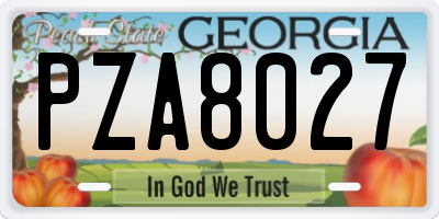 GA license plate PZA8027