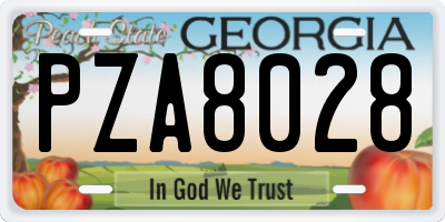 GA license plate PZA8028