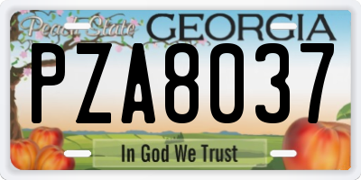 GA license plate PZA8037