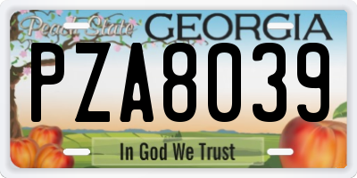 GA license plate PZA8039