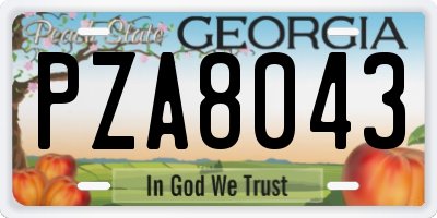 GA license plate PZA8043