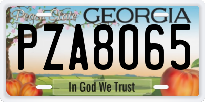GA license plate PZA8065