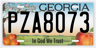 GA license plate PZA8073