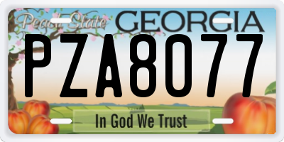 GA license plate PZA8077