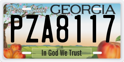 GA license plate PZA8117
