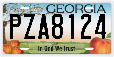 GA license plate PZA8124