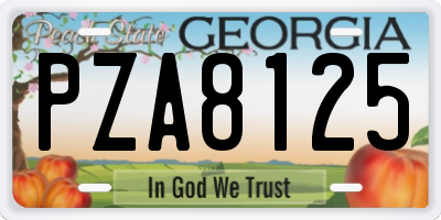 GA license plate PZA8125