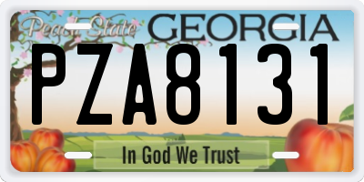 GA license plate PZA8131