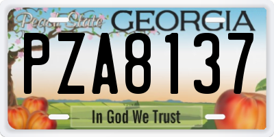 GA license plate PZA8137