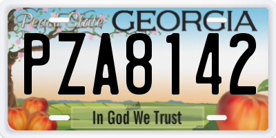 GA license plate PZA8142