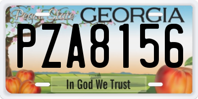 GA license plate PZA8156