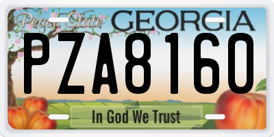 GA license plate PZA8160