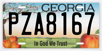 GA license plate PZA8167
