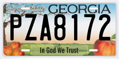 GA license plate PZA8172