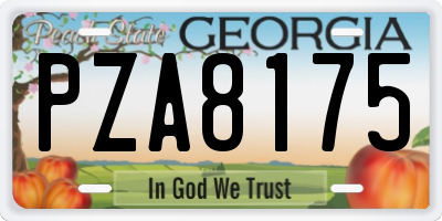 GA license plate PZA8175
