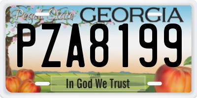 GA license plate PZA8199