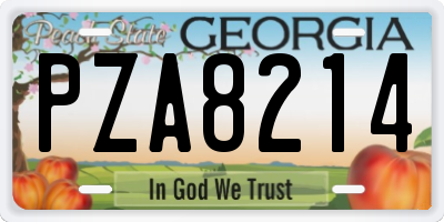 GA license plate PZA8214
