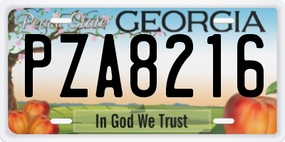 GA license plate PZA8216