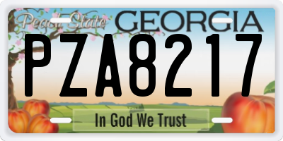 GA license plate PZA8217