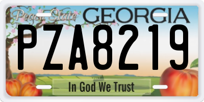 GA license plate PZA8219