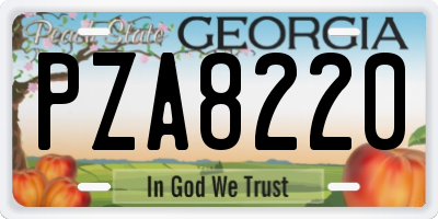 GA license plate PZA8220