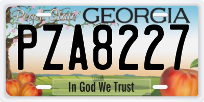 GA license plate PZA8227