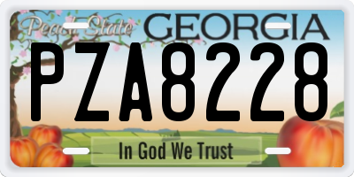 GA license plate PZA8228