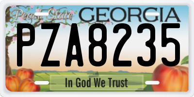 GA license plate PZA8235