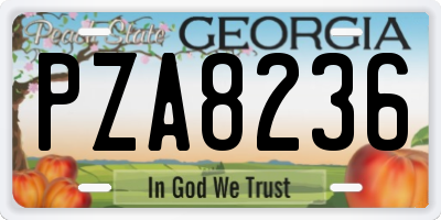 GA license plate PZA8236