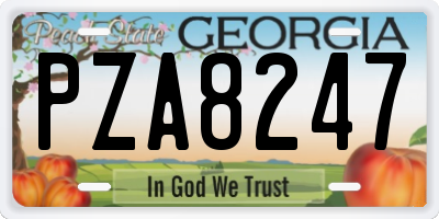 GA license plate PZA8247