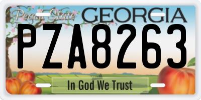 GA license plate PZA8263