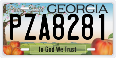 GA license plate PZA8281