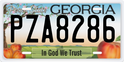GA license plate PZA8286